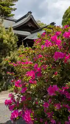 熊野神社(京都府)