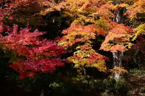 宝珠山 立石寺の庭園