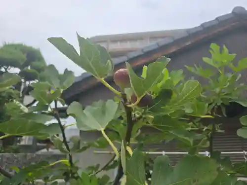 西教寺(大阪府)