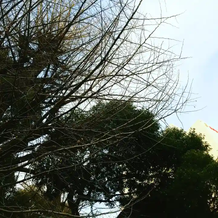 金王八幡宮の自然