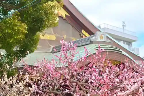 湯島天満宮(東京都)