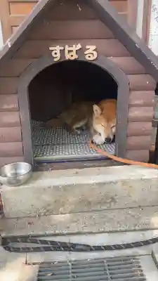 感通寺(東京都)