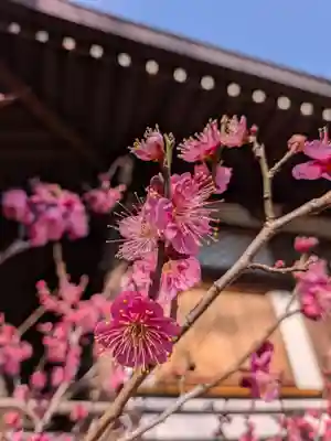 福蔵院(東京都)