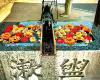 川越八幡宮の{uncategorized: "未分類", other: "その他", undefined: "問題あり", building: "その他建物", grave: "お墓", sacred_gate: "鳥居", guardian: "狛犬", statue: "像", buddha: "仏像", history: "歴史", nature: "自然", garden: "庭園", animal: "動物", pagoda: "塔", temizu: "手水舎", mountain_gate: "山門・神門", sanctuary: "本殿・本堂", subordinate: "末社・摂社", art: "芸術", scenery: "景色", jizo: "地蔵", ema: "絵馬", goshuin: "御朱印", omikuji: "おみくじ", items: "授与品その他", amulet: "お守り", goshuincho: "御朱印帳", eats: "食事", festival: "お祭り", votive_dance: "神楽", shichigosan: "七五三参", wedding: "結婚式", experience: "体験その他", initially: "初詣", around: "周辺", anti_infection: "感染症対策"}