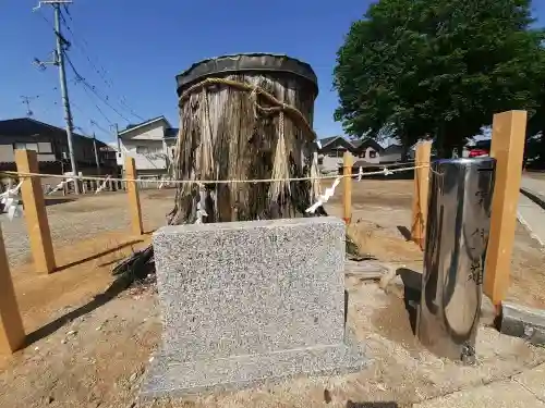 渋川神社の{uncategorized: "未分類", other: "その他", undefined: "問題あり", building: "その他建物", grave: "お墓", sacred_gate: "鳥居", guardian: "狛犬", statue: "像", buddha: "仏像", history: "歴史", nature: "自然", garden: "庭園", animal: "動物", pagoda: "塔", temizu: "手水舎", mountain_gate: "山門・神門", sanctuary: "本殿・本堂", subordinate: "末社・摂社", art: "芸術", scenery: "景色", jizo: "地蔵", ema: "絵馬", goshuin: "御朱印", omikuji: "おみくじ", items: "授与品その他", amulet: "お守り", goshuincho: "御朱印帳", eats: "食事", festival: "お祭り", votive_dance: "神楽", shichigosan: "七五三参", wedding: "結婚式", experience: "体験その他", initially: "初詣", around: "周辺", anti_infection: "感染症対策"}