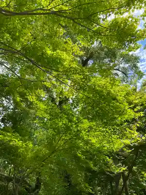 曼殊院門跡(京都府)