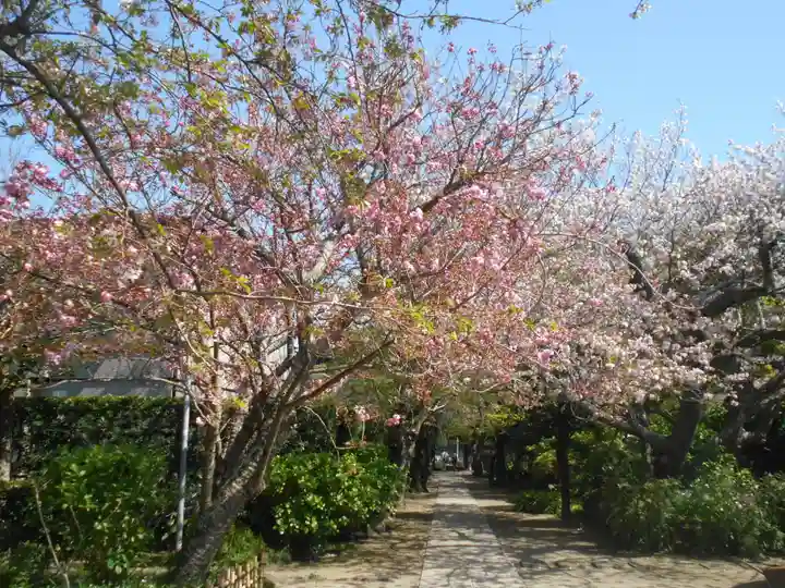 極楽寺(霊鷲山感應院極楽律寺)の自然