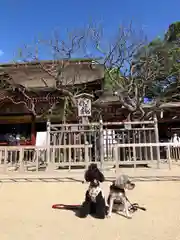 太宰府天満宮の動物