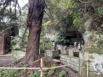 浄光明寺(神奈川県)