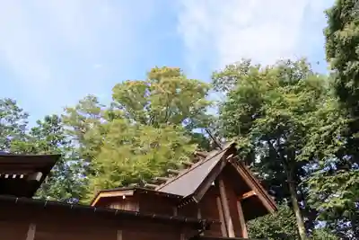 阿久津「田村神社」(郡山市阿久津町)旧社名:伊豆箱根三嶋三社の本殿・本堂