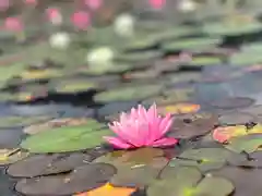 仁科神社(長野県)