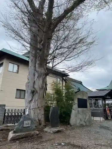 三ツ石神社(岩手県)
