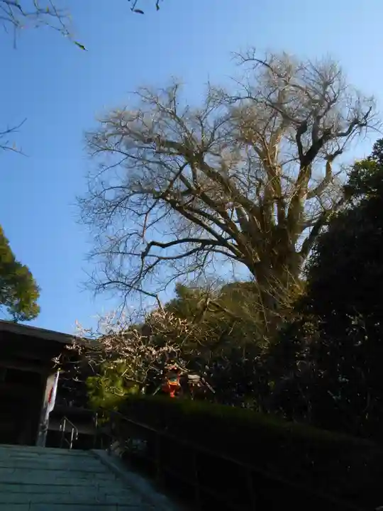 荏柄天神社のその他建物