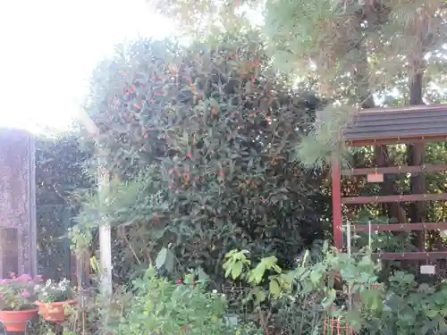 天然寺(埼玉県)