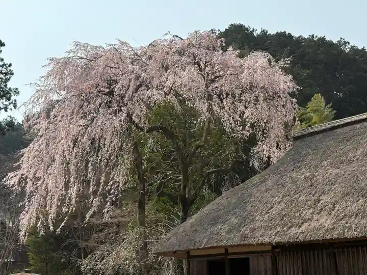 高麗神社(埼玉県)