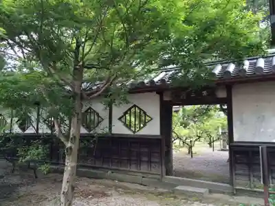 高伝寺(佐賀県)