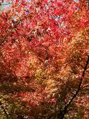 長谷寺(神奈川県)