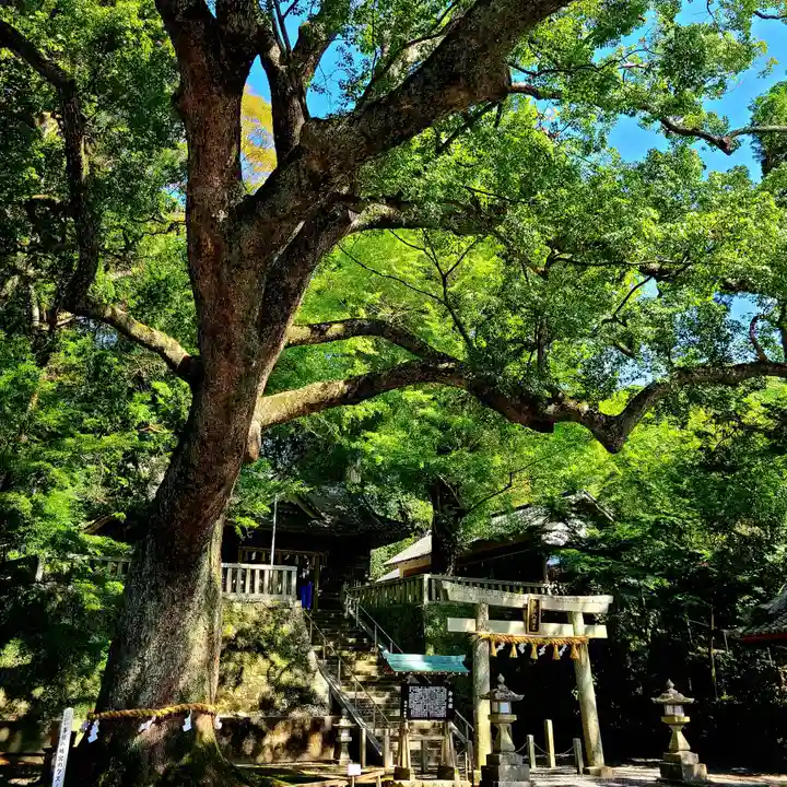 事任八幡宮(静岡県)