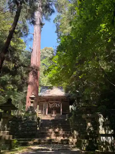 八幡宮來宮神社(静岡県)