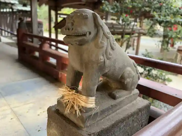 越ヶ谷久伊豆神社の{uncategorized: "未分類", other: "その他", undefined: "問題あり", building: "その他建物", grave: "お墓", sacred_gate: "鳥居", guardian: "狛犬", statue: "像", buddha: "仏像", history: "歴史", nature: "自然", garden: "庭園", animal: "動物", pagoda: "塔", temizu: "手水舎", mountain_gate: "山門・神門", sanctuary: "本殿・本堂", subordinate: "末社・摂社", art: "芸術", scenery: "景色", jizo: "地蔵", ema: "絵馬", goshuin: "御朱印", omikuji: "おみくじ", items: "授与品その他", amulet: "お守り", goshuincho: "御朱印帳", eats: "食事", festival: "お祭り", votive_dance: "神楽", shichigosan: "七五三参", wedding: "結婚式", experience: "体験その他", initially: "初詣", around: "周辺", anti_infection: "感染症対策"}