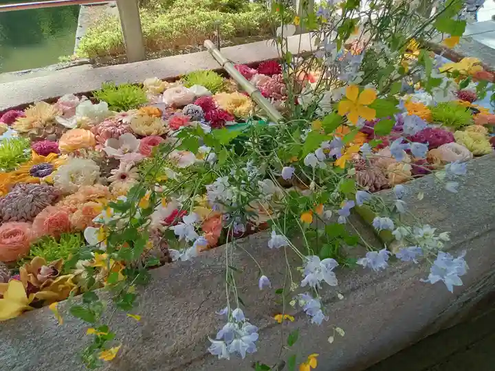 住吉大社(大阪府)