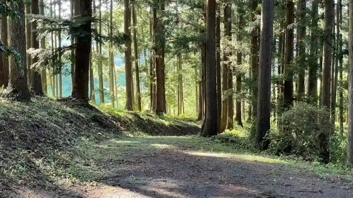 坪沼八幡神社の自然
