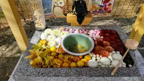 厚真神社の手水