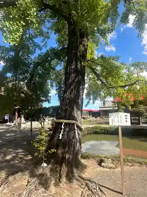 熊野神社(宮城県)