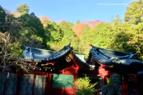 箱根神社(神奈川県)