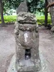 熊野神社の狛犬