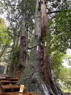 白山比咩神社(石川県)