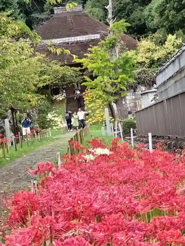 横浜　西方寺(神奈川県)