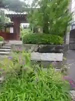 大巧寺の山門・神門