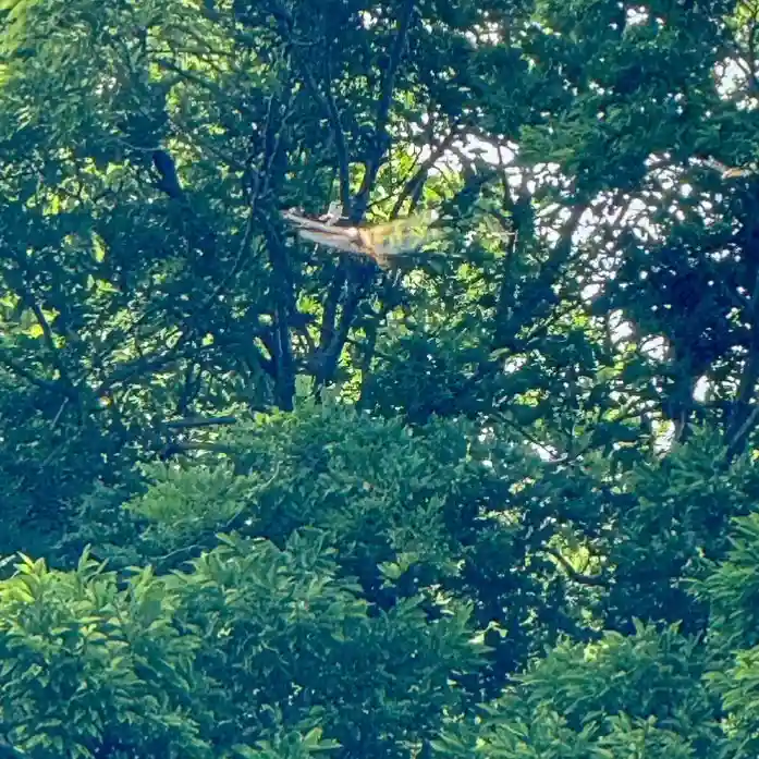 伊勢の国 四天王寺(三重県)