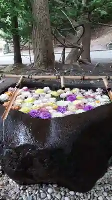 千歳神社の手水舎