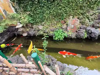 吉原神社の{uncategorized: "未分類", other: "その他", undefined: "問題あり", building: "その他建物", grave: "お墓", sacred_gate: "鳥居", guardian: "狛犬", statue: "像", buddha: "仏像", history: "歴史", nature: "自然", garden: "庭園", animal: "動物", pagoda: "塔", temizu: "手水舎", mountain_gate: "山門・神門", sanctuary: "本殿・本堂", subordinate: "末社・摂社", art: "芸術", scenery: "景色", jizo: "地蔵", ema: "絵馬", goshuin: "御朱印", omikuji: "おみくじ", items: "授与品その他", amulet: "お守り", goshuincho: "御朱印帳", eats: "食事", festival: "お祭り", votive_dance: "神楽", shichigosan: "七五三参", wedding: "結婚式", experience: "体験その他", initially: "初詣", around: "周辺", anti_infection: "感染症対策"}