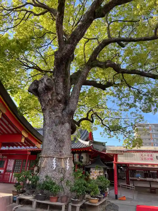 足の神様 服部天神宮(大阪府)