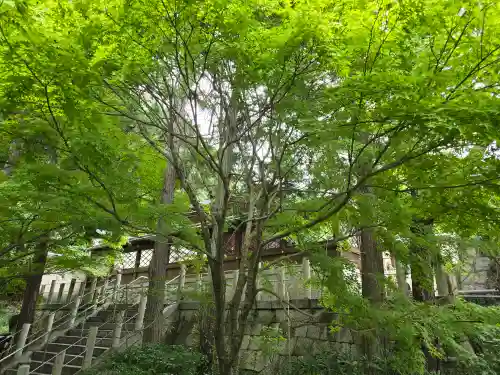 興正寺別院（本山興正寺霊山本廟）(京都府)