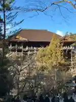 清水寺の{uncategorized: "未分類", other: "その他", undefined: "問題あり", building: "その他建物", grave: "お墓", sacred_gate: "鳥居", guardian: "狛犬", statue: "像", buddha: "仏像", history: "歴史", nature: "自然", garden: "庭園", animal: "動物", pagoda: "塔", temizu: "手水舎", mountain_gate: "山門・神門", sanctuary: "本殿・本堂", subordinate: "末社・摂社", art: "芸術", scenery: "景色", jizo: "地蔵", ema: "絵馬", goshuin: "御朱印", omikuji: "おみくじ", items: "授与品その他", amulet: "お守り", goshuincho: "御朱印帳", eats: "食事", festival: "お祭り", votive_dance: "神楽", shichigosan: "七五三参", wedding: "結婚式", experience: "体験その他", initially: "初詣", around: "周辺", anti_infection: "感染症対策"}