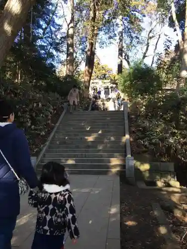 阿夫利神社の自然