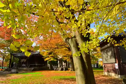 高彦根神社(新潟県)