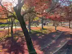 東福禅寺（東福寺）の自然