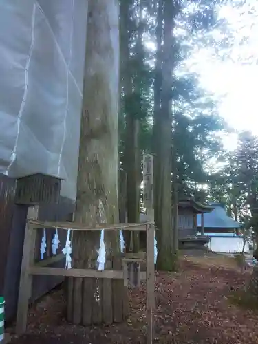 諏訪大社のその他建物