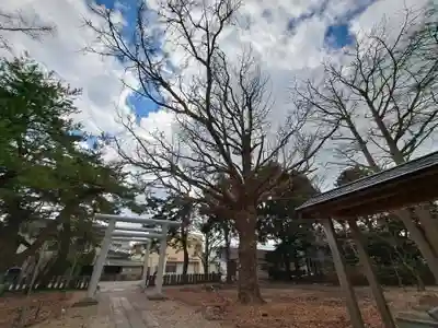 有川大神宮(北海道)