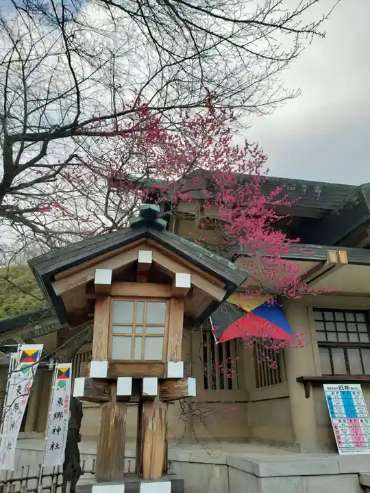 東郷神社の自然