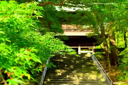 円覚寺(神奈川県)