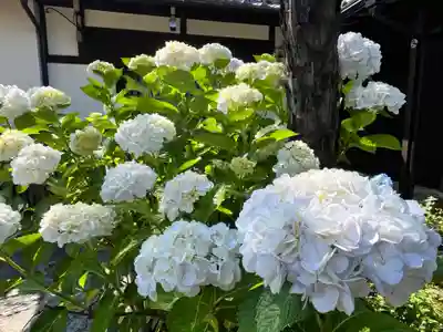 玉津島神社(和歌山県)