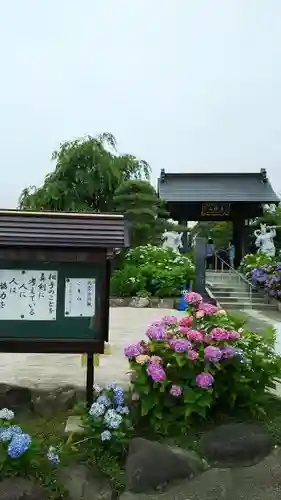 松源寺の庭園