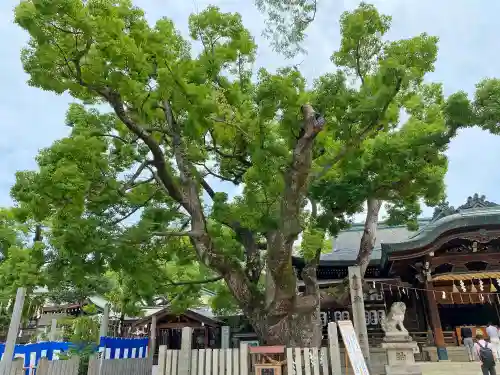 石切劔箭神社の自然