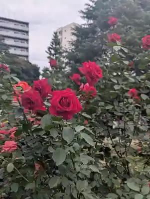 駒込妙義神社(東京都)
